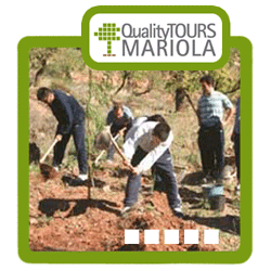 Taller Medio Ambiente medio ambiente