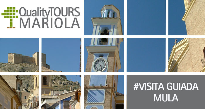 VISITA GUIADA MULA VISITA GUIADA MULA